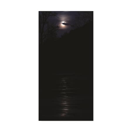 Kurt Shaffer Photographs 'Full Moon On The River' Canvas Art,16x32